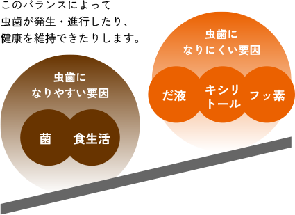 このバランスによって虫歯の発生・進行したり、健康を維持できたりします